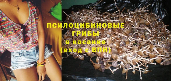 spice Вязники