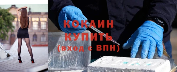 гашик Вязьма