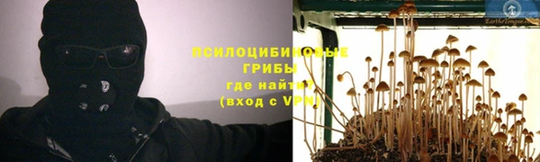 мескалин Верхний Тагил