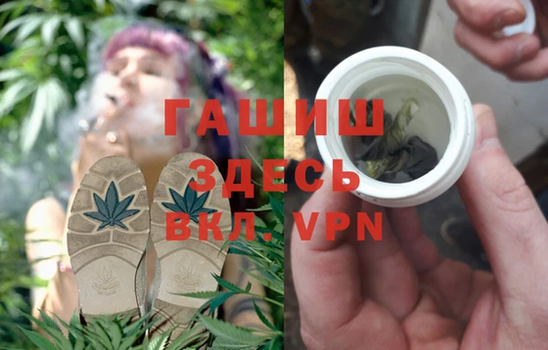 гашик Вязьма