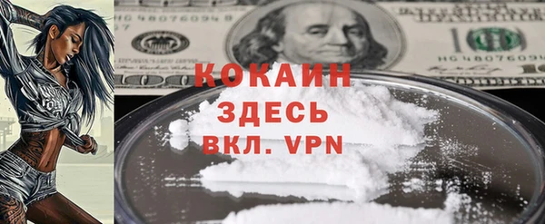 гашик Вязьма