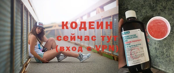 гашик Вязьма